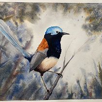 My project for course: Naturalist Bird Illustration with Watercolors. Ilustração tradicional, Pintura em aquarela, Desenho realista e Ilustração naturalista projeto de Nick Sutherland - 20.10.2023