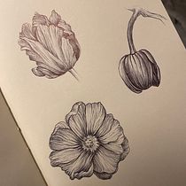 Il mio progetto del corso: Illustrazione su sketchbook con penna: sbaglia con stile. Sketching, Drawing, Sketchbook & Ink Illustration project by Sonia Bertazzi - 10.21.2023