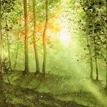 Il mio progetto del corso: Paesaggi incantevoli ad acquerello: dipingi con la luce. Un projet de Peinture , et Aquarelle de Pina Muscas - 21.10.2023