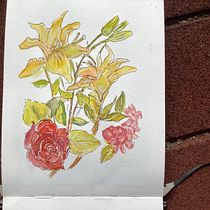 My project for course: Botanical Sketchbooking: A Meditative Approach Ein Projekt aus dem Bereich Traditionelle Illustration, Skizzenentwurf, Zeichnung, Aquarellmalerei, Botanische Illustration und Sketchbook von y7dfcnx8rv - 21.10.2023