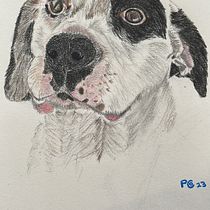 My project for course: Pet Portraits in Colored Pencils. Traditional illustration, and Naturalistic Illustration project by Paulina Contreras - 10.13.2023