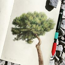 Il mio progetto del corso: Pittura ad acquerello: esplora le tecniche del pennello asciutto. Fine Arts, Painting, Drawing, Watercolor Painting, Botanical Illustration, and Naturalistic Illustration project by Sonia Bertazzi - 01.07.2024