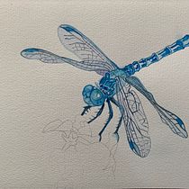My project for course: Watercolor for Products: Sell Your Art dragonfly and butterfly. Watercolor Painting, Artistic Drawing, Botanical Illustration, and Naturalistic Illustration project by Ingrid - 10.23.2023