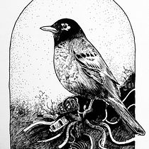 My project for course: Realistic Illustration of Birds with Imaginative Elements. Pencil Drawing, Drawing, Ink Illustration, and Naturalistic Illustration project by Filipe Goulão - 10.23.2023