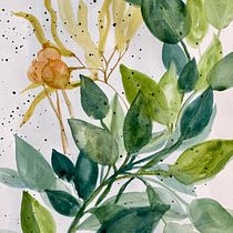 Mon projet du cours : Aquarelle florale créative : renouez avec la nature. Ilustração tradicional, Pintura, Pintura em aquarela e Ilustração botânica projeto de beaulieu.sylvie.2.0 - 22.10.2023