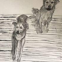 My project for course: Animal Illustration with Charcoal and Ink. Fine Arts, Drawing, Ink Illustration, and Naturalistic Illustration project by Margaret Phillips - 10.24.2023