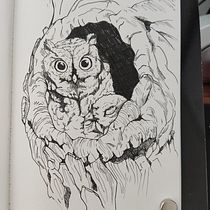 My project for course: Realistic Illustration of Birds with Imaginative Elements. Drawing, Ink Illustration, Pencil Drawing, and Naturalistic Illustration project by Ramon Alencar - 10.25.2023