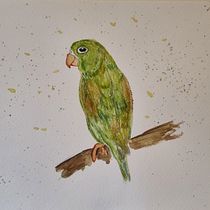 Meu projeto do curso: Técnicas expressivas de aquarela para ilustração de pássaros. Traditional illustration, Watercolor Painting, Realistic Drawing, and Naturalistic Illustration project by Gislaine Vogel - 10.25.2023