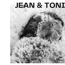 Il mio progetto del corso: Introduzione alla fotografia di cani - JEAN & TONIK. Un projet de Photographie, Photographie de portrait, Photographie de studio, Photographie documentaire, Photographie lifest, le , et Photographie intérieure de Lucia Di Pierro - 01.10.2023