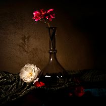 My project for course: Still-Life Photography: Create Dark and Moody Images. Product Photograph, Fine-Art Photograph, and Food Photograph project by Michael Kulmar - 10.26.2023