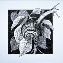 My project for course: Dip Pen and Ink Illustration: Capturing The Natural World. Sketching, Drawing, Artistic Drawing, Sketchbook, Ink Illustration, and Naturalistic Illustration project by mark_2000 - 10.29.2023