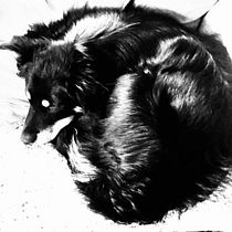 Sleeping dog with charcoal. Fine Arts, Drawing, Ink Illustration, and Naturalistic Illustration project by Tiina - 10.29.2023