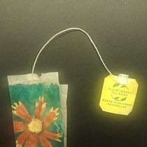 My first teabag ARTcollection  Ein Projekt aus dem Bereich Bildende Künste, Malerei, Aquarellmalerei und Gouachemalerei von Sara Ivansson - 29.10.2023