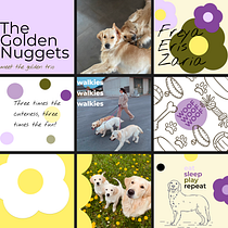 The Golden Nuggets - My three golden retrievers. Un progetto di Design, Br, ing, Br, identit, Graphic design, Tipografia, Design di loghi e Design tipografico di zsizsifru - 31.10.2023