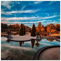 Gardens of Arcen. Mobile Photograph, Outdoor Photograph & Instagram Photograph project by viefbaard - 10.31.2023