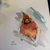 My project for course: Artistic Watercolor Techniques for Illustrating Birds. Traditional illustration, Watercolor Painting, Realistic Drawing, and Naturalistic Illustration project by wchiah - 10.28.2023