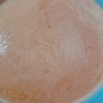 Mi proyecto del curso: Biomateriales: creación de materiales con descartes orgánicos. Un projet de Artisanat , et DIY de Patricia Adaro - 01.11.2023