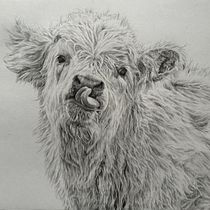 My project for course: Naturalistic Animal Drawing with Graphite Pencil. Ilustração tradicional, Desenho a lápis, Desenho e Ilustração naturalista projeto de marieclaire98 - 06.04.2024