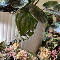 Wedding Flowers. Writing, Creativit, Stor, telling, Narrative, Non-Fiction Writing, and Creative Writing project by Barbara Steinhauser - 11.05.2023