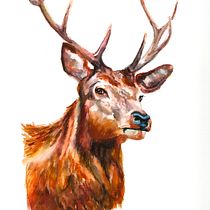 My project for course: Expressive Animal Portraits in Watercolor. Ilustração tradicional, Pintura em aquarela, Desenho realista e Ilustração naturalista projeto de suzij - 02.11.2023
