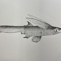 Mon projet du cours : Illustration surréaliste au feutre fin. Ilustração tradicional, Desenho a lápis, Desenho, Desenho realista, Desenho artístico e Ilustração com tinta projeto de Sophie Ponti - 03.11.2023