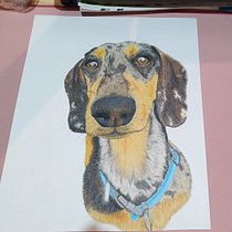 Mi proyecto del curso: Retratos de Mascotas en Lápices de Colores. Traditional illustration, and Naturalistic Illustration project by Blanco Daniela - 11.04.2023