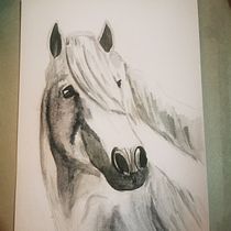 Il mio progetto del corso: Ritratti espressivi di animali ad acquerello. Ilustração tradicional, Pintura em aquarela, Desenho realista e Ilustração naturalista projeto de angelacalcaterra40 - 05.11.2023