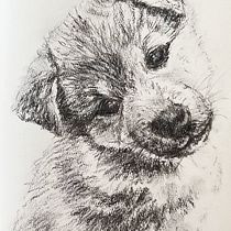 Charcoal Drawing of Spencer. Fine Arts, Drawing, Ink Illustration, and Naturalistic Illustration project by Diane Quee - 11.05.2023