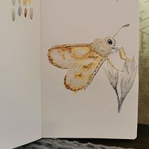 My project for course: Daily Sketching for Creative Inspiration. Traditional illustration, Sketching, Creativit, Drawing, and Sketchbook project by Karola Kruk - 11.06.2023