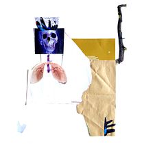 My project for course: Creating Botanical Collages from Scratch Ein Projekt aus dem Bereich Traditionelle Illustration, H, werk, Collage und Musterdesign von rittingale - 06.11.2023
