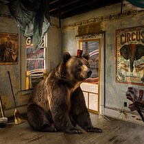 Mi proyecto del curso: Secretos del fotomontaje y el retoque creativo. Photograph, Photograph, Post-production, VFX, Photo Retouching, Fine-Art Photograph, Photographic Composition, and Photomontage project by Michelle Grandón - 11.07.2023