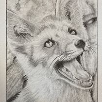 Happy Fox, Leopard in Repose, Bandit. Un projet de Dessin au cra , et on de smmcc2013 - 06.11.2023