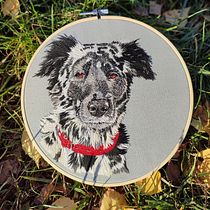 My project for course: Embroidered Pet Portraits: The Thread Painting Technique. Embroider, Naturalistic Illustration, and Textile Design project by Marta Sladeckova - 11.07.2023