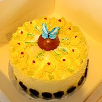 Mi proyecto del curso: Cake design: técnicas decorativas modernas. Un progetto di Design e DIY di Mercy Miller - 06.11.2023