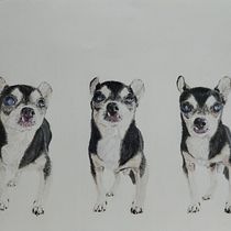 Mi proyecto del curso: Retratos de Mascotas en Lápices de Colores. Traditional illustration, and Naturalistic Illustration project by olga_carcelen - 11.09.2023