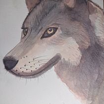 Mi proyecto del curso: Técnicas experimentales de acuarela para principiantes. Un progetto di Illustrazione tradizionale, Belle arti, Pittura ad acquerello e Illustrazione naturalistica di maestraelenn - 20.11.2023
