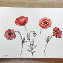 Mi proyecto del curso: Cuaderno botánico en acuarela. Projekt z dziedziny Trad, c, jna ilustracja, Malowanie akwarelą, R, sunek botaniczn i Sketchbook użytkownika Maribel - 25.05.2023