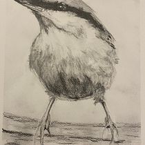 My project for course: Artistic Watercolor Techniques for Illustrating Birds. Traditional illustration, Watercolor Painting, Realistic Drawing, and Naturalistic Illustration project by Tina Cannon - 11.12.2023