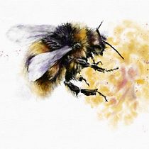 My project for course: Illustrating the Natural World with Watercolor and Charcoal. Un proyecto de Ilustración naturalista				 e Ilustración digital de vjensen.jaa - 12.11.2023