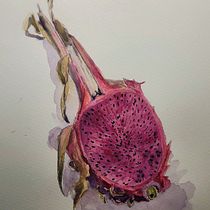 My project for course: Botanical Watercolor: Illustrating Art and Science. Un progetto di Illustrazione tradizionale, Belle arti, Pittura, Pittura ad acquerello e Illustrazione botanica di Molli Woodtagger - 12.11.2023