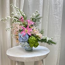 puerto colombia tropical . Un proyecto de Diseño de interiores, Paisajismo, Decoración de interiores, DIY, Diseño floral y vegetal de Alberto Lopez Paez - 12.11.2023