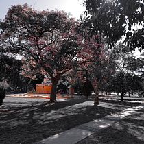 Mi proyecto del curso: Fotografía de viajes con smartphone para principiantes. Mobile Photograph, Outdoor Photograph & Instagram Photograph project by Rosa Garcia - 11.15.2023