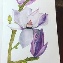 Mi proyecto del curso: Ilustración botánica con acuarela. Traditional illustration, Fine Arts, Painting, Drawing, Watercolor Painting, and Botanical Illustration project by angela castellano salas - 11.16.2023