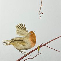 Il mio progetto del corso: Illustrazione naturalistica: acquerello in positivo e negativo. Traditional illustration, Fine Arts, Painting, Drawing, Watercolor Painting, Botanical Illustration, and Naturalistic Illustration project by chiaralalla79 - 11.18.2023