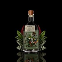 Packaging ABSINTHE. Un progetto di Br, ing, Br, identit, Graphic design, Packaging, Creatività e Comunicazione di dannawithbrand - 19.11.2023