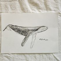 My project for course: Naturalist Illustration Techniques: Whales in Watercolor. Un progetto di Belle arti, Pittura, Pittura ad acquerello e Illustrazione naturalistica di Belle - 15.11.2023