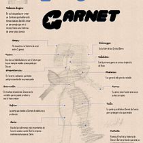 Infografia de diseño de personaje: GARNET. Graphic Design, Information Design, Infographics, Digital Illustration, and Communication project by Jair Enrique Álvarez Hernández - 11.20.2023