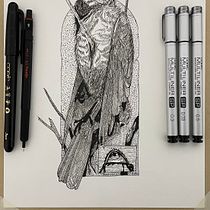 Mi proyecto del curso: Ilustración realista de pájaros con elementos creativos. Ink Illustration, Naturalistic Illustration, Pencil Drawing, and Drawing project by Kin Ruiz - 11.17.2023