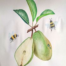 My project for course: Realistic Botanical Illustration: Escape to Nature. Painting, Watercolor Painting, Botanical Illustration, and Naturalistic Illustration project by Fariha - 11.21.2023
