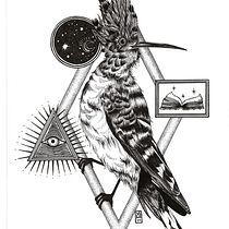My project for course: Realistic Illustration of Birds with Imaginative Elements. Pencil Drawing, Drawing, Ink Illustration, and Naturalistic Illustration project by Valentina Tassini - 11.22.2023